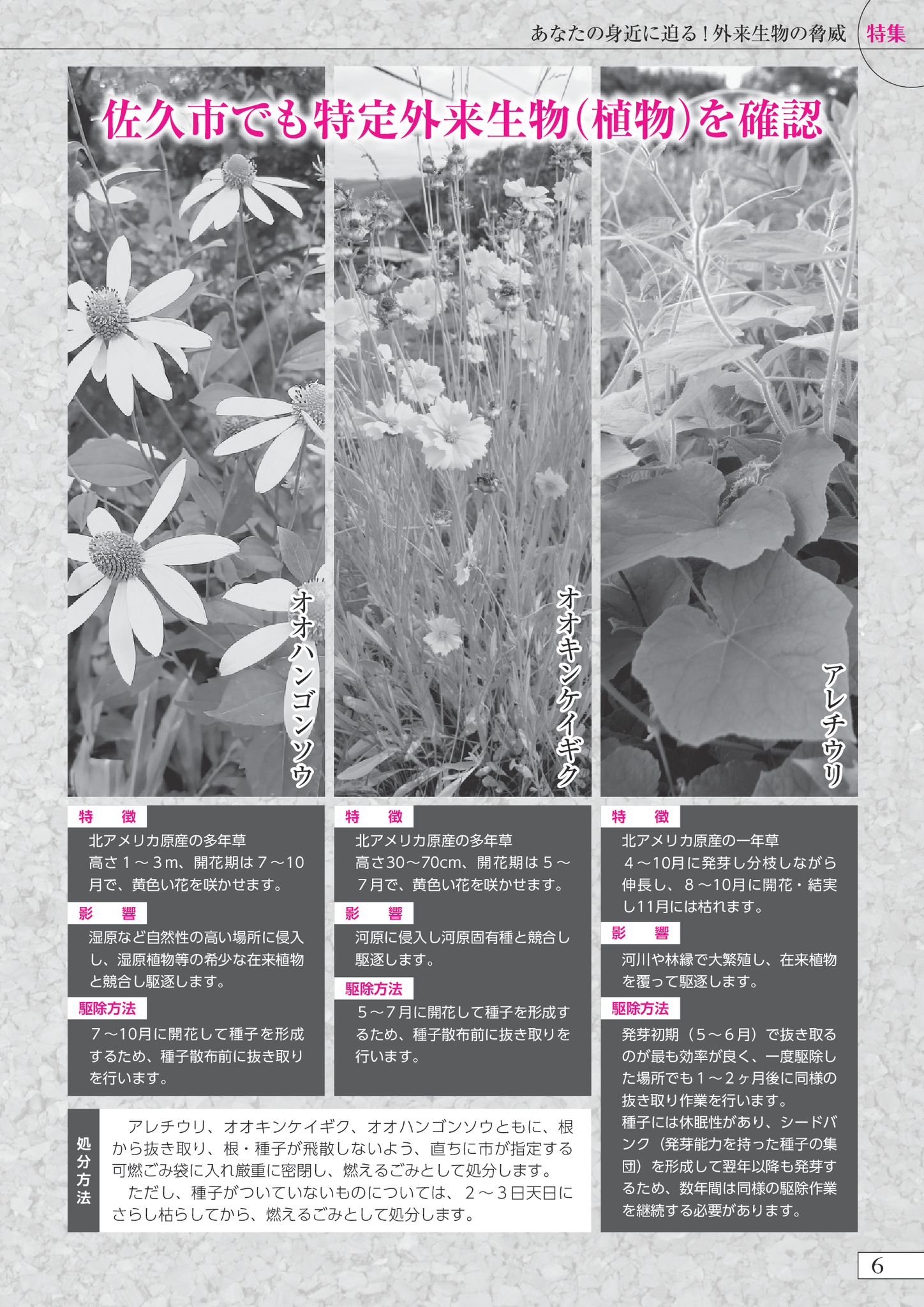 ザキヤマ学習帳　未使用