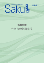 平成29年度佐久市の財政状況