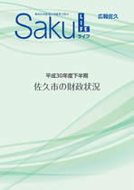 平成30年度下半期　佐久市の財政状況